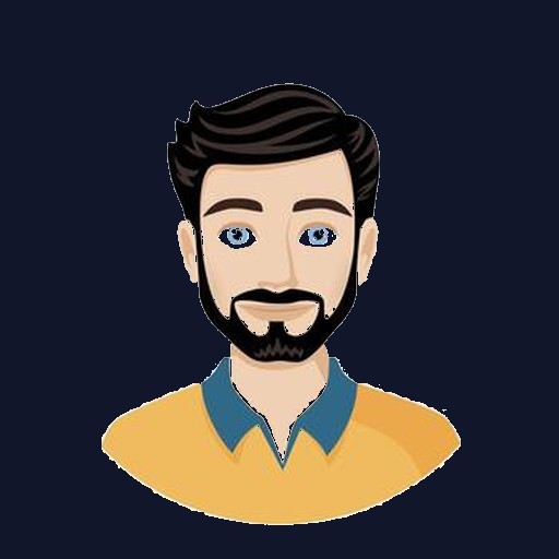 Mahmudul Hasan — web developer, designer and SEO specialist at MIR Digital Agency