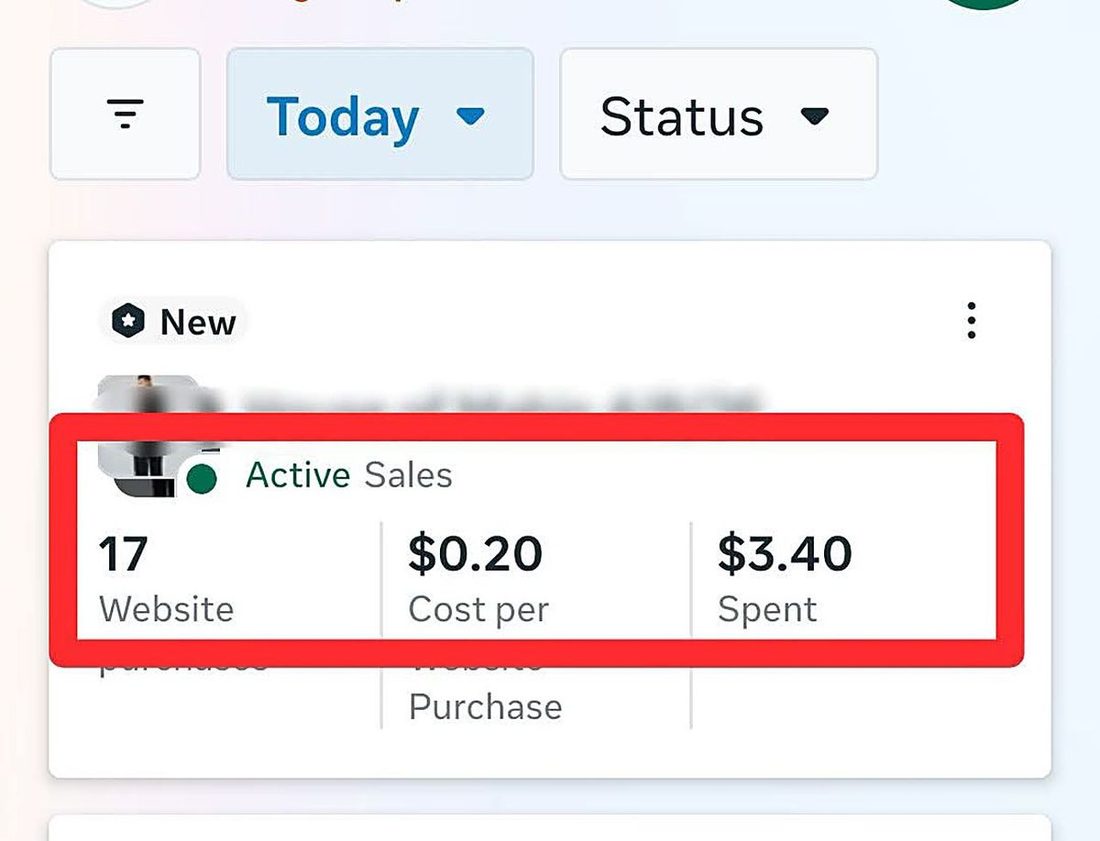Facebook Ads - Daily Active Sales — 17 purchases today